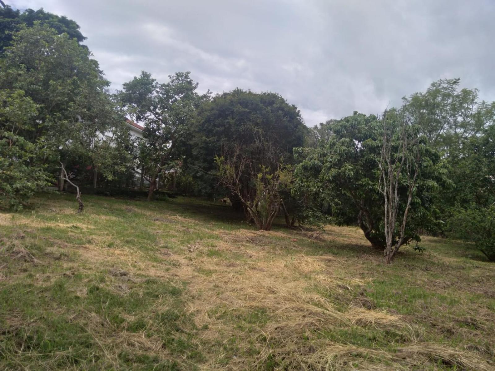 Vila Casa Delicia Em Passa Quatro Ate 6 Pessoas Exteriér fotografie